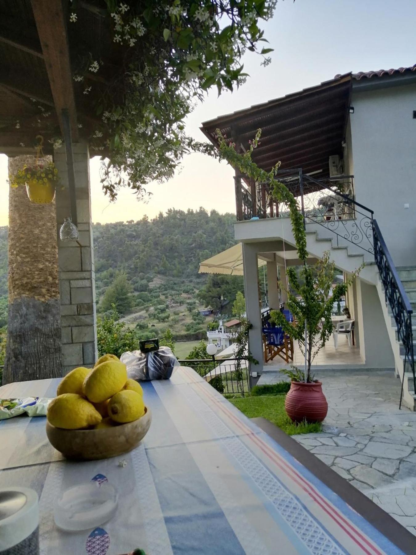 Apartamento Fotini'S House Nea Skioni Exterior foto